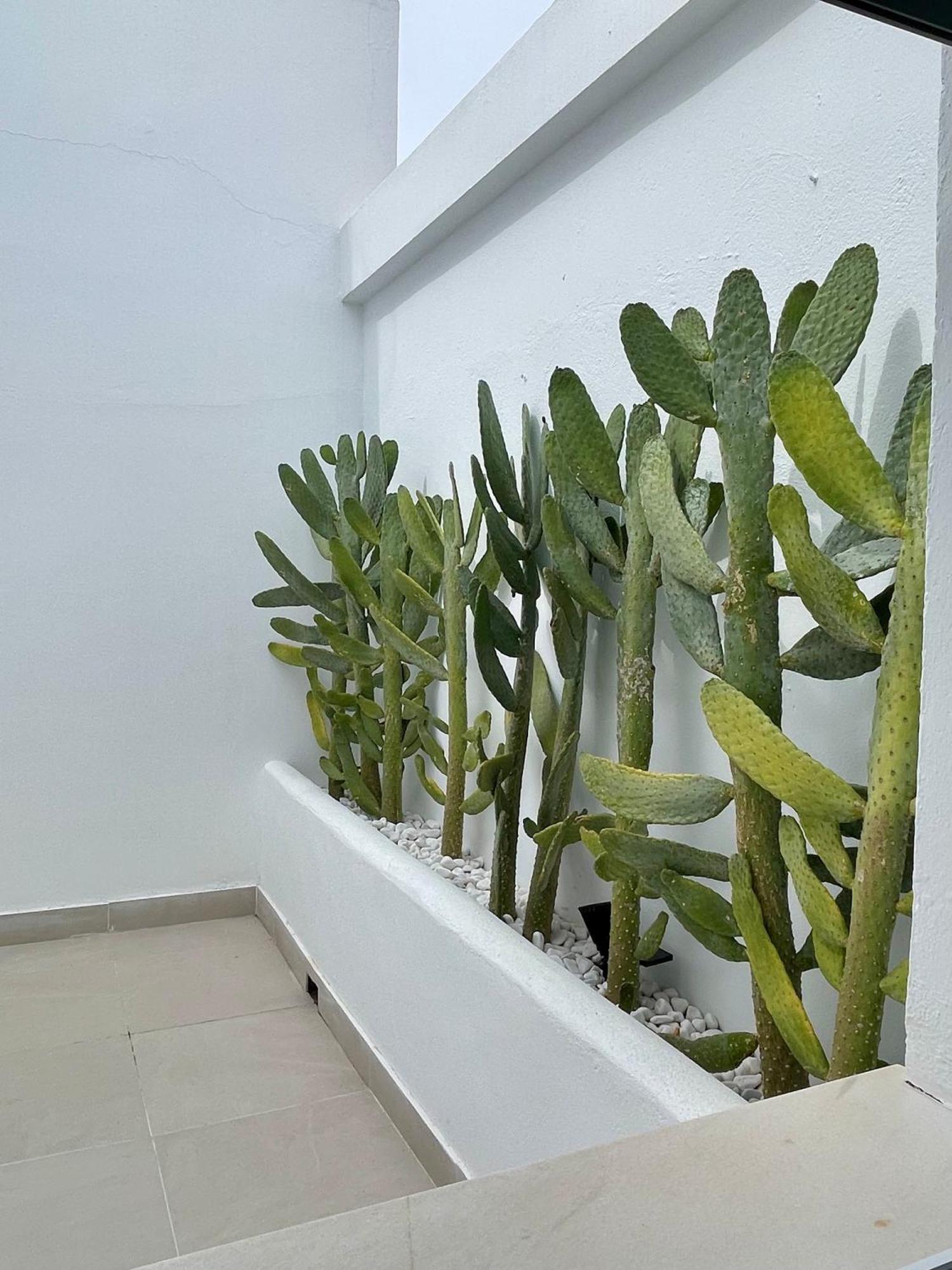 Guest house H Bellavista *